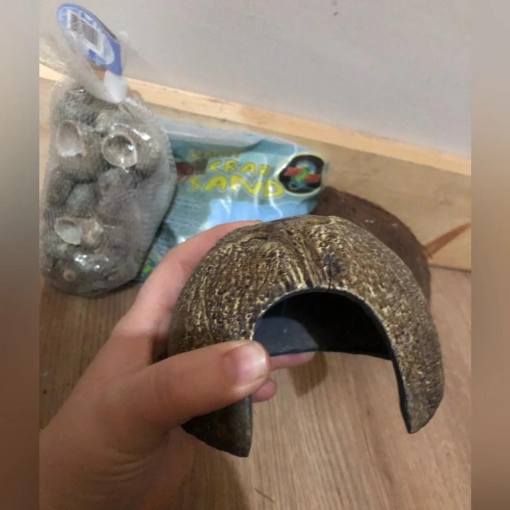 Hermit Crab Bundle - Picture 2 of 6